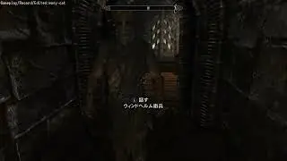 【ASMR】ウルフリックの宮殿を歩く｜足音｜王の宮殿｜ゲーム環境音 BGMなし【SkyrimAE】