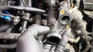 2014 Ford Escape 1.6 Turbo Water Outlet Replacement.