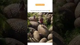 Imagine landing on a Dinosaur nest😅 #egg #rockbreakdown
