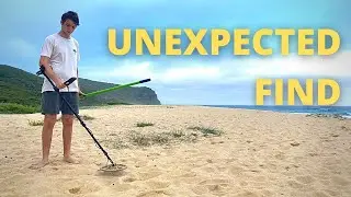 Unexpected Find Metal Detecting at the Beach in Australia