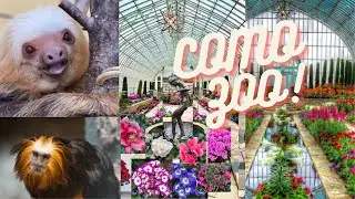 Como Zoo and Conservatory Relaxing 4K Virtual Walking Tour of St. Paul, Minnesota, Feb 2022