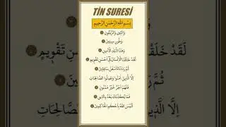 #SurahAtTeen🌿 The Dignity of Mankind🍃#Quran #SurahTeen#IslamicReminder #Faith#Guidance #DivineWisdom