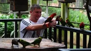 Kuala Lumpur Bird Park 2013