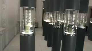 Glass and Cermaic Museum Tehran, Iran
