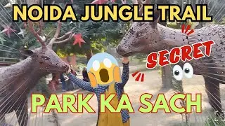 Noida Mein Aisa Jungle? 😱 | Andar Jaate Hi Shock Lag Gaya| jungle tour #minivlog 🍲food and travel 
