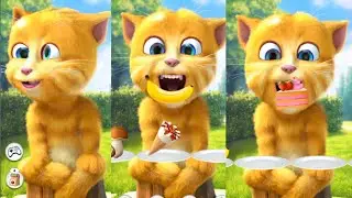 🪣😮 Ginger Lifts an Empty Bucket High! 😹🏋️
