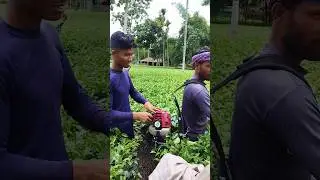 Indian tea leaf cutting machine #shortsvideo #youtuber #viral #youtube #youtubeshort