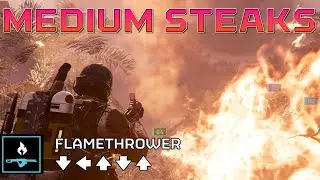 COOKING BUGS WITH MEDIUM PENETRATION AND FLAMES | Helldivers 2