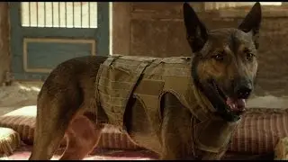 Max - 