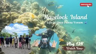 Havelock Island Scuba Diving | First Time Experience 🤿 #scubadiving #havelock #andamanislands #scuba