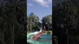Splashing into the Weekend | Busch Gardens | Tampa | SimplyTraversing