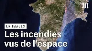 Grèce, Algérie, Italie,... : les immenses fumées provoquées par les incendies
