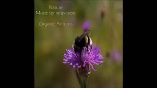 Organic Patterns - Nature - Music for Relaxation [Full Album]