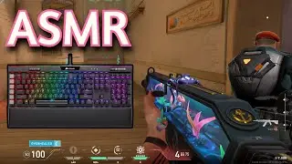 ASMR Gaming | VALORANT MECHANICAL KEYBOARD | No Talking + Keyboard/Mouse Sounds 😴