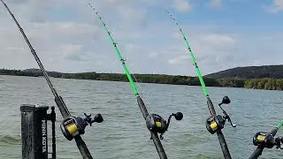 We Found The MOTHERLOAD Of BIG FISH!!! (Crazy Bite)