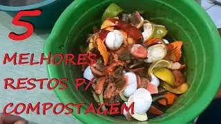 O Melhor Adubo Orgânico grátis ao alcance de Todos! (Compostagem como você nunca viu)