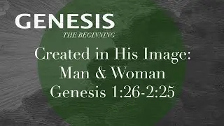 Created In His Image: Man & Woman | Genesis 1:26-2:25