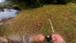 Largemouth Bass Fishing with Culprit Worm #bassfishing #pondfishing