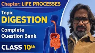 LIFE PROCESSES (DIGESTION) || CLASS 10TH || COMPLETE QUESTION BANK || QUESTION 1- 20.