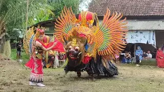 Tari Barong Jaranan Argo Budoyo live pasan