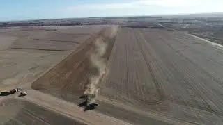 wulyaling farms seeding 2020