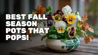 🍂🌿 10 Stunning Fall Container Plants That Outshine Mums | Autumn Porch & Patio Ideas