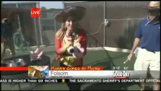 Cinco De Barko GoodDaySac
