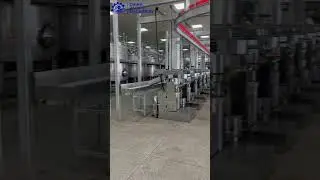 Edible Oil Processing Machine|Automatic Hydraulic Oil Press Production Line|Oil Press Machine #304