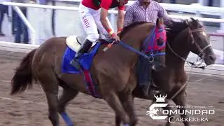 Coco Vs. Consentido. Satevo Racetrack, CHIH.