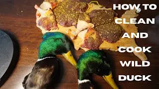 How to Clean and Cook the Perfect Wild DUCK