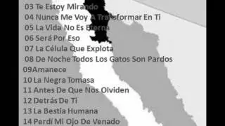 CFNS ENMEXICALI1989