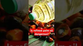 Is refined palm oil dangerous? Lets find out! #palmoil #refinedoil #saturatedfat