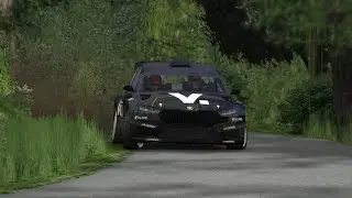 RBR Zaton Full Attack! (RALLY 2 WORLD RECORD) | Skoda Fabia RS Rally 2