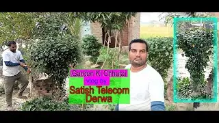 Garden ki chhatai/गार्डेन की छटाई/vlog by satish telecom derwa