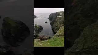 #stniniansisle  #scotland  #shetland #sheep #video #ocean #misty #videooftheday