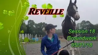 Reveille Session 018 Groundwork Project Horse VLOG Young Pinto Horse Training 05/31/18