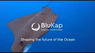 BluKap - Shaping the future of the Ocean