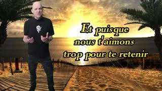 Jean Jacques Goldman Puisque tu pars cover