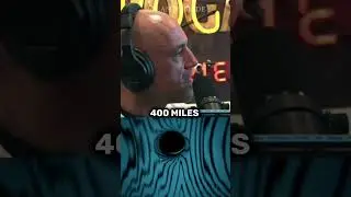 Joe Rogan on Hollow Earth 😨🌍 with Duncan Trussell