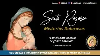 Santo Rosario - Misterios Dolorosos - 03/02/2026