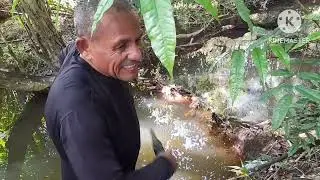 fui passar e. fiz Detectorismo