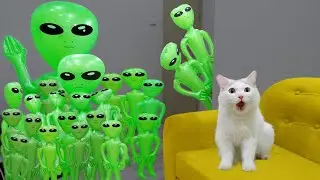 Cats vs Aliens