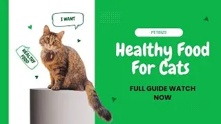 Healthy Food For Cats ( Complete Nutrition Guide ) | PETBIZS | #cat #catfood #food #healthycats