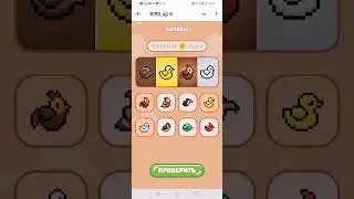 Bird ton daily combo 05.09.2024