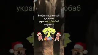 НА НОВЫЙ ГОД ВСЕ ВСЕМ МИРЕ УКРАШАЮТ ЕЛКИ I РАЗБОР МИФА ПРО НОВОГОДНИЕ ЕЛКИ #фейк