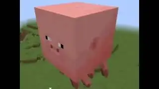 Minecraft | pig skin texture pack | Meme