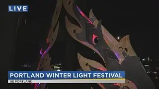 On the Go with Joe at Portland Winter Light Festival 2020
