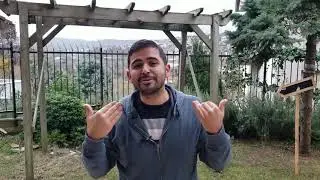 Gelişimin 4 Büyükleri: 1) Konfor Alanı 2) Korku Alanı 3) Öğrenme Alanı 4) Büyüme Alanı
