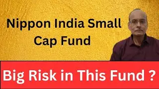 Nippon India Small Cap Fund: Big Risk in This Fund?