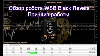 Обзор робота WSB Black Revers   Принцип работы